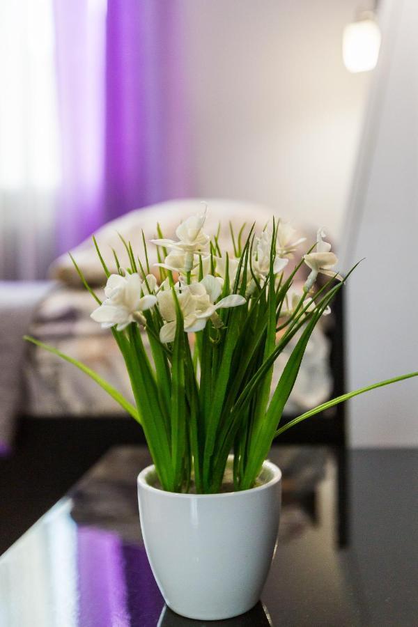 8 Svyatoho Teodora Square Apartment Lemberg